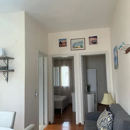 Agathis * קאסיופי